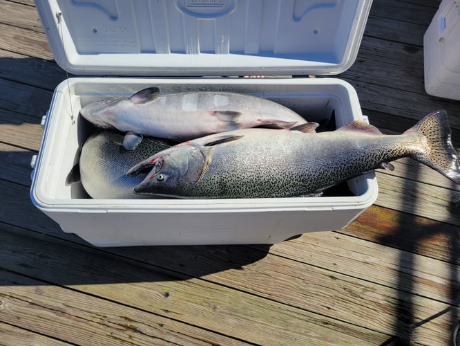 Slipknot Steelhead Charters River in Manistee, Michigan Captain