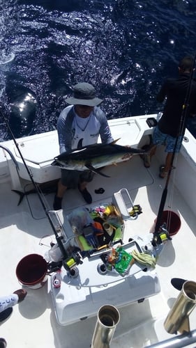 Big Fish Costa Rica - 33' Proline