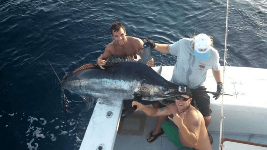 Incredible Billfish and Pelagics - 42' Buddy Davis