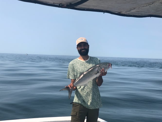 Cape Cod Striped Bass Blitz In Barnstable