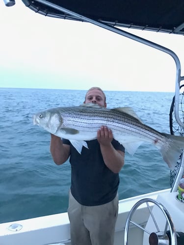 Cape Cod Striped Bass Blitz In Barnstable