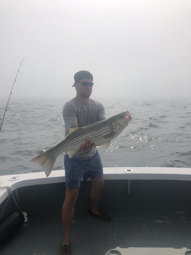 Cape Cod Striped Bass Blitz In Barnstable