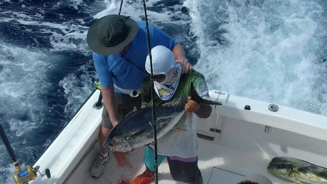 Full Day Offshore In Quepos