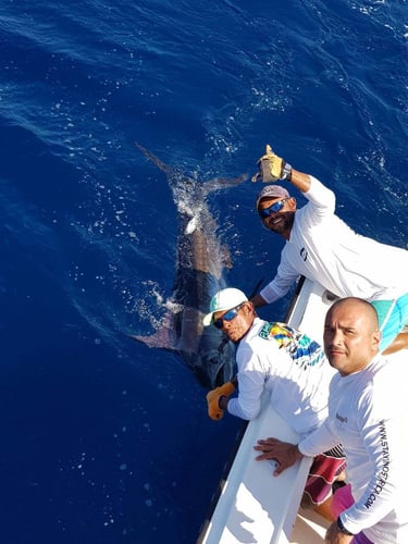 Raven - Full Day Offshore In Quepos