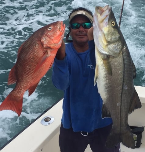 Full Day Offshore In Quepos