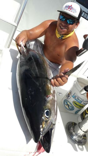 Raven - Full Day Offshore In Quepos