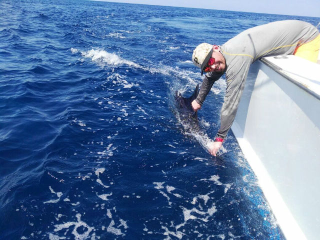 Full Day Offshore In Quepos