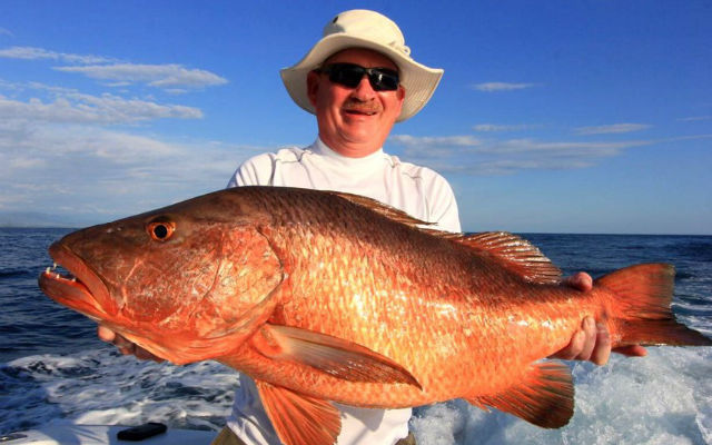 Quepos Inshore Fishing In Quepos