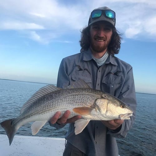 Lower Laguna Full Day Action In Port Isabel