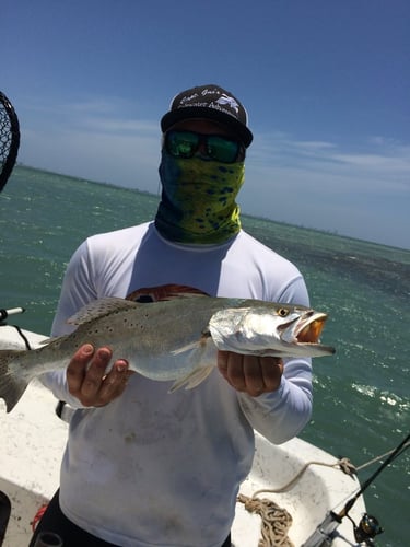 South Padre Shallows Trip In Port Isabel