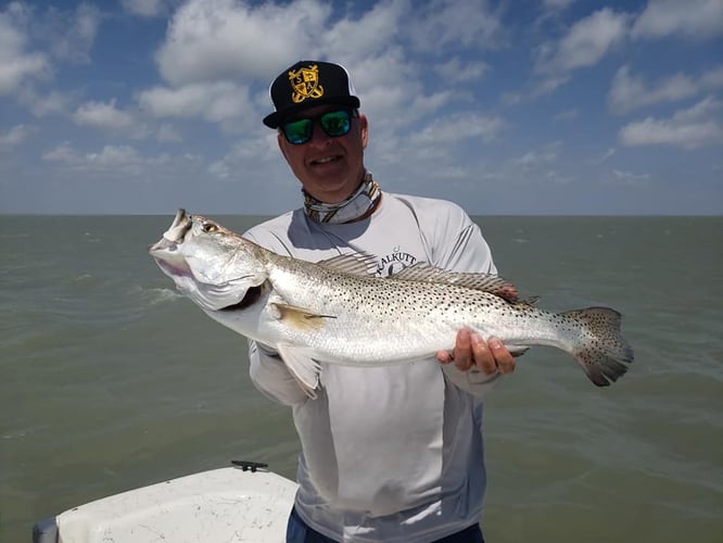 Lower Laguna Full Day Action In Port Isabel