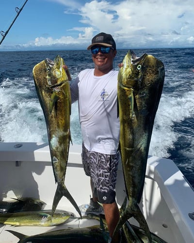 4-Night Sportfish Slam In Puerto Jiménez