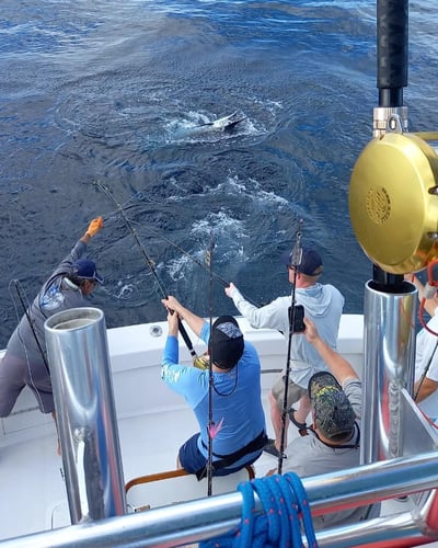2-Night Sportfish Slam in Quepos