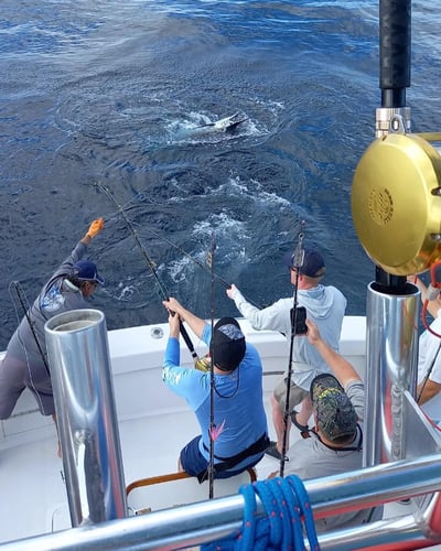 2-Night Sportfish Slam In Puerto Jiménez