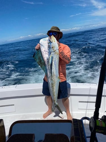 4-Night Sportfish Slam In Puerto Jiménez