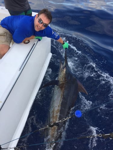 Herradura Sportfish Slam In Puerto Jiménez