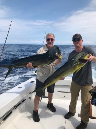 Herradura Sportfish Slam In Puerto Jiménez