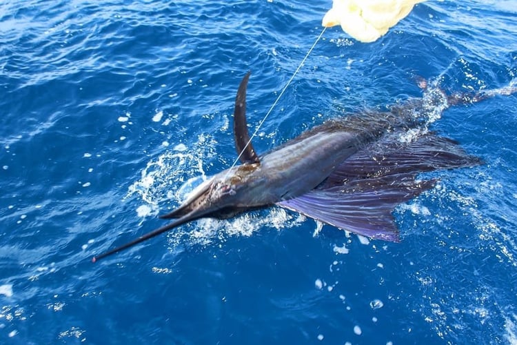 Hardcore Seamount Adventure In Puerto Jiménez