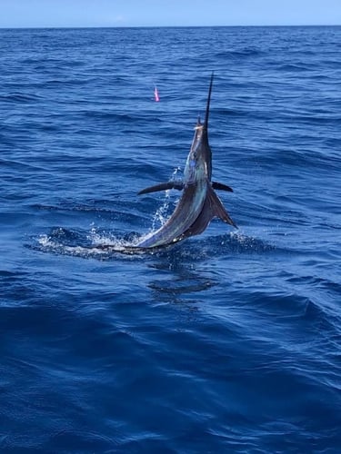 2-Night Sportfish Slam in Quepos