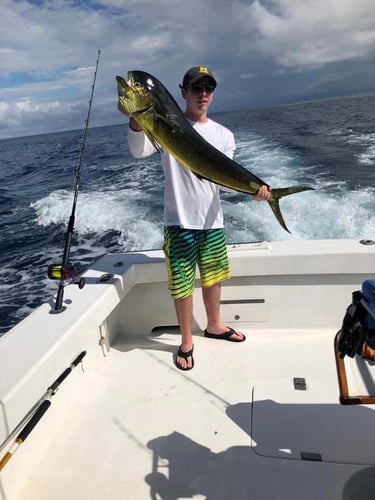 Herradura Sportfish Slam In Puerto Jiménez