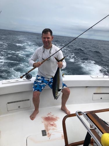 Herradura Sportfish Slam In Puerto Jiménez