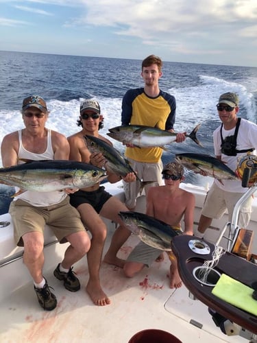 Herradura Sportfish Slam In Puerto Jiménez