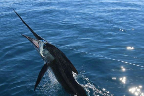 Full Day Fishing Trip In Loreto