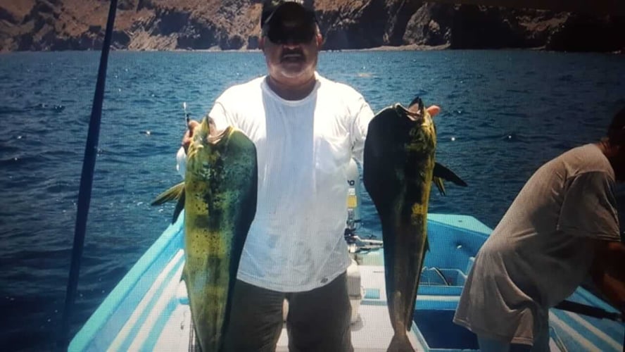 Full Day Fishing Trip In Loreto