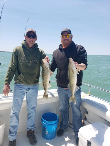 Lake Erie Perch Or Walleye Special In Lakeside Marblehead