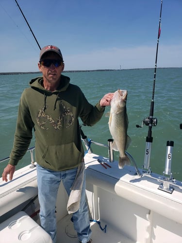 Lake Erie Perch Or Walleye Special In Lakeside Marblehead