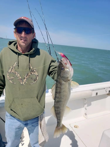 Lake Erie Perch Or Walleye Special In Lakeside Marblehead