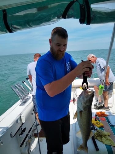 Lake Erie Perch Or Walleye Special In Lakeside Marblehead