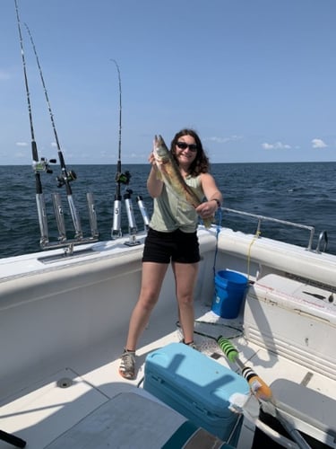 Lake Erie Perch Or Walleye Special In Lakeside Marblehead