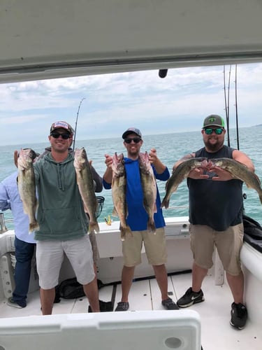 Lake Erie Perch Or Walleye Special In Lakeside Marblehead