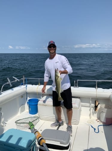 Lake Erie Perch Or Walleye Special In Lakeside Marblehead