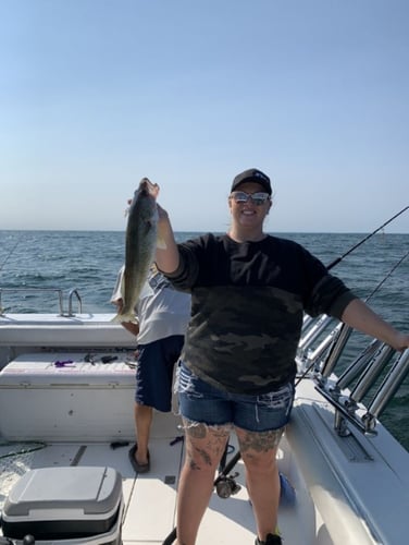 Lake Erie Perch Or Walleye Special In Lakeside Marblehead