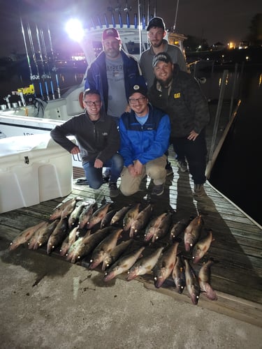 Lake Erie Walleye Roundup In Lorain