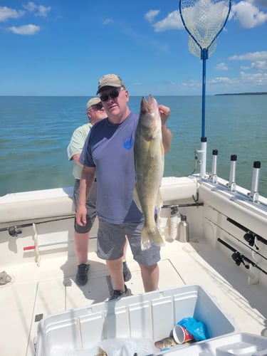 Lake Erie Walleye Catch In Lorain
