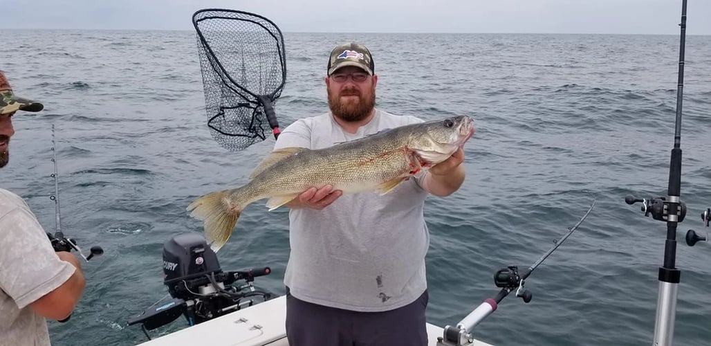 Lake Erie Walleye Catch In Lorain