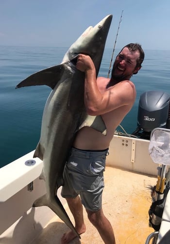 Spring Break Sharks and Bull Reds in Freeport