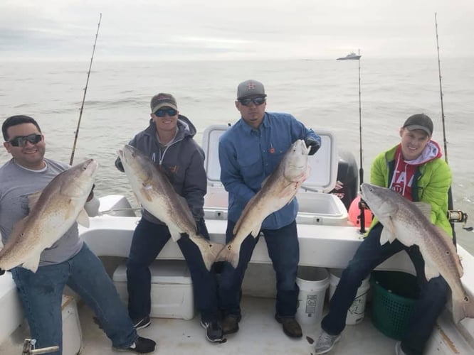 Bull Reds, Sharks, and More - 30