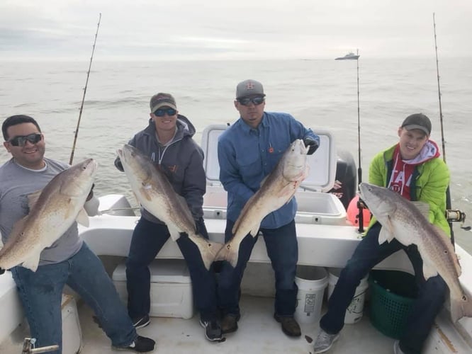 Spring Break Sharks and Bull Reds in Freeport