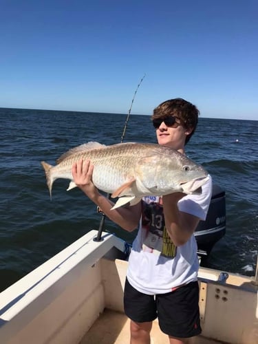 Bull Reds Weekday Special In Freeport