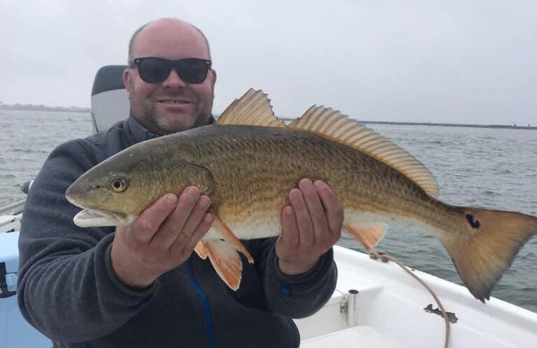 Spring Break Sharks and Bull Reds in Freeport