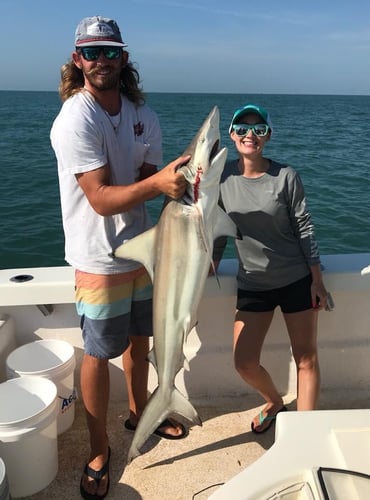 Bull Reds And Shark Trip In Freeport