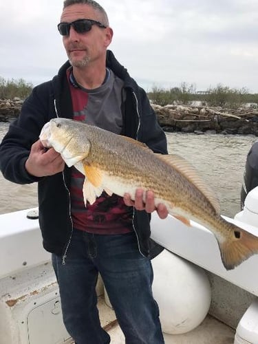Spring Break Sharks and Bull Reds in Freeport