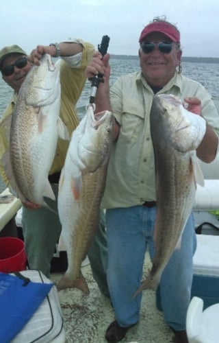 Pristine Inshore In Apalachicola