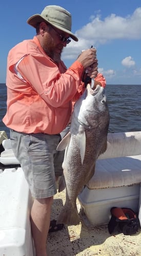 Pristine Inshore In Apalachicola