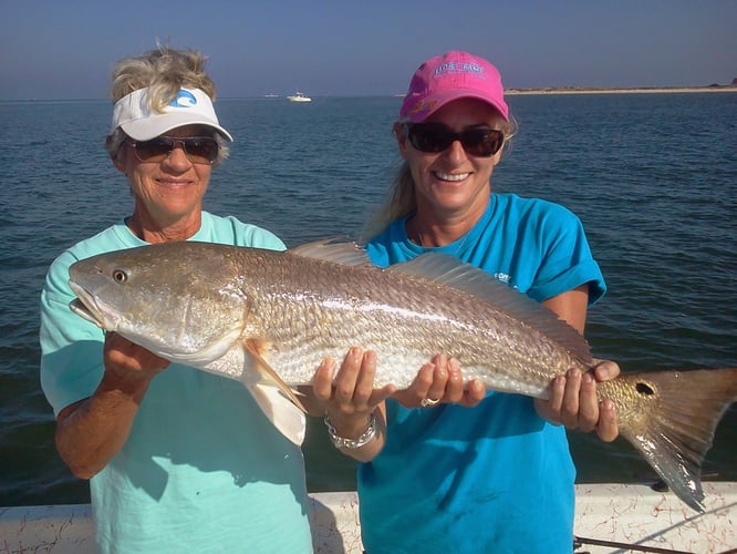 Action-Packed Alabama Coast In Gulf Shores