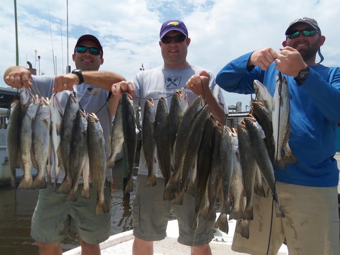 Action-Packed Alabama Coast In Gulf Shores